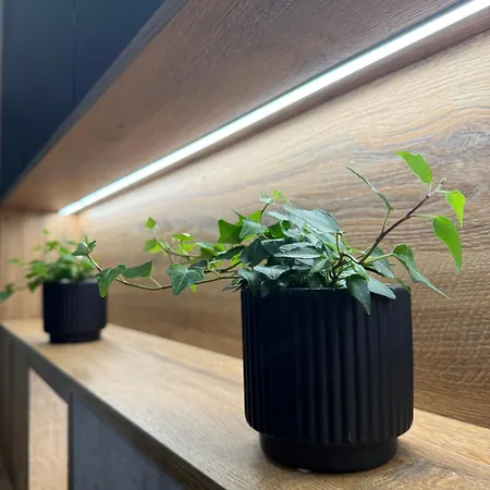 La Contrasta * Kołobrzeg