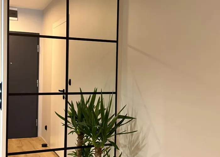 La Contrasta Kołobrzeg