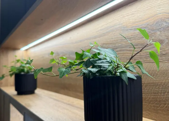 La Contrasta * Kołobrzeg